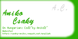 aniko csaky business card